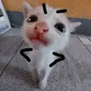 tranminhtam20