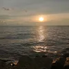 iwakkaring1234567891