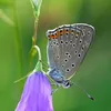 vuongnguyen6862