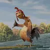 zeira_pj