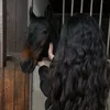 Liz69_ss