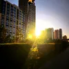 xiaomi_15t0