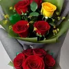 m.z.ahmed27