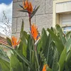 lilou.120347