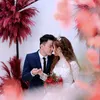 embegao1220