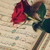 user8105943513349