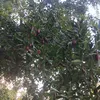 .mirzohidjon