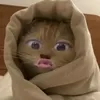 lomlyupi