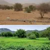 abdou.alioum