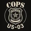 COPsAuDit703