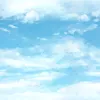 mmbg070