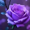 hassanmahamat714
