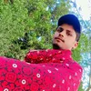 user0184102975