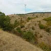 goce.sazdov