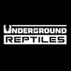 Underground Reptiles