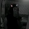 .dasha786