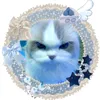 hachiware_usagilover