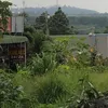minh24126