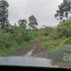 gombal1123