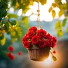 .samia.akther