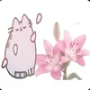 hjulhjul