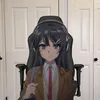 spiedblitz