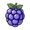 berry_app