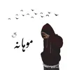 s.zaib36