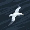 lunaedy3