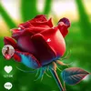 user881687552578