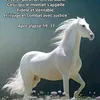 user70626507603324