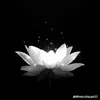 ngock.quan
