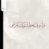 maimv232