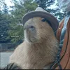 nuggetdeupollo
