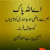 jamilur.rehman.ja