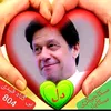shazi6169