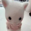 ayumi.savo