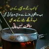 hafiz.hasan.malik.786
