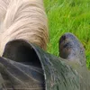 andersonjaimes27