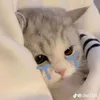 nt_ynhiez