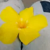 mariacadoni2