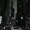 bloomwithalexa