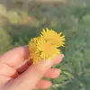 norah.alshahriu