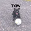 txiwi0