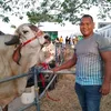 argenis.diaz11
