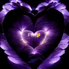 shaan.khan29