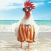 chicken.dotri