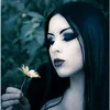 user9243193883279