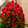 user4414261386794