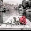 divanirpereira36